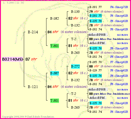 Pedigree of BO214(MS) :
four generations presented
it's temporarily unavailable, sorry!