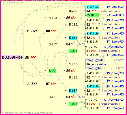 Pedigree of BO269(MS) :
four generations presented
it's temporarily unavailable, sorry!