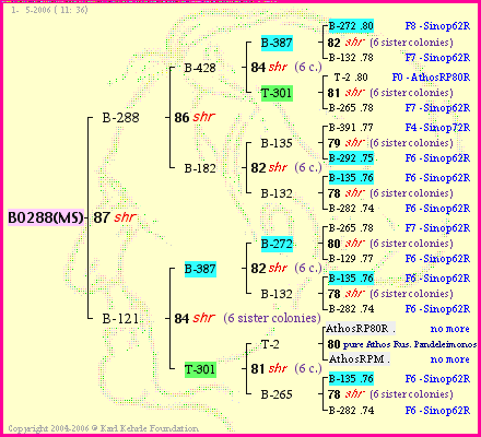 Pedigree of BO288(MS) :
four generations presented
it's temporarily unavailable, sorry!