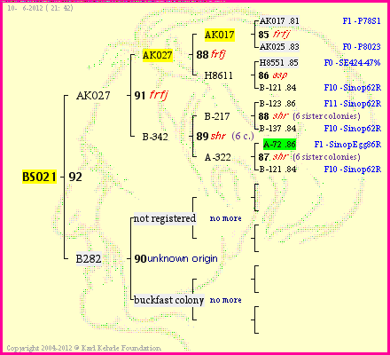 Pedigree of BS021 :
four generations presented