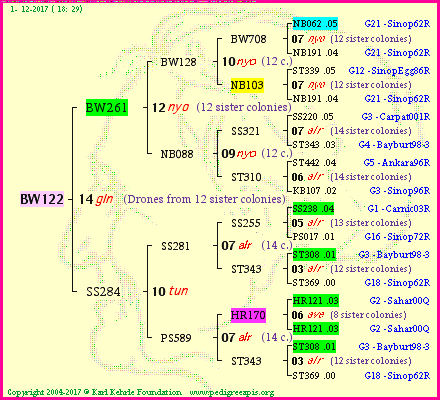 Pedigree of BW122 :
four generations presented<br />it's temporarily unavailable, sorry!