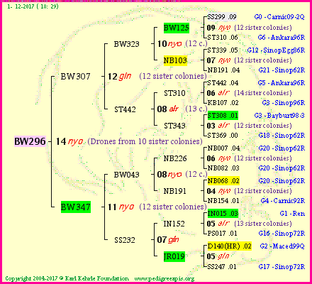 Pedigree of BW296 :
four generations presented<br />it's temporarily unavailable, sorry!