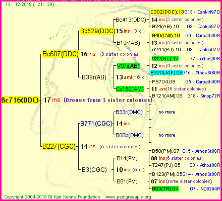 Pedigree of Bc716(DDC) :
four generations presented<br />it's temporarily unavailable, sorry!