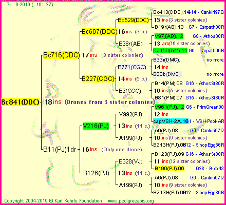 Pedigree of Bc841(DDC) :
four generations presented<br />it's temporarily unavailable, sorry!