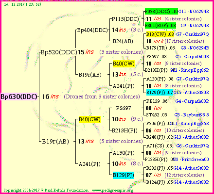 Pedigree of Bp630(DDC) :
four generations presented