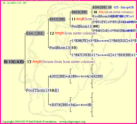 Pedigree of Bt10(UKB) :
four generations presented