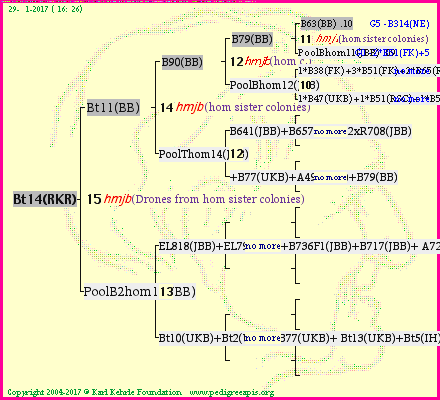 Pedigree of Bt14(RKR) :
four generations presented<br />it's temporarily unavailable, sorry!