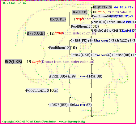 Pedigree of Bt2(UKB) :
four generations presented