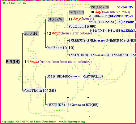 Pedigree of Bt3(IH) :
four generations presented