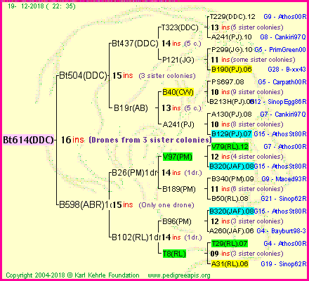 Pedigree of Bt614(DDC) :
four generations presented<br />it's temporarily unavailable, sorry!