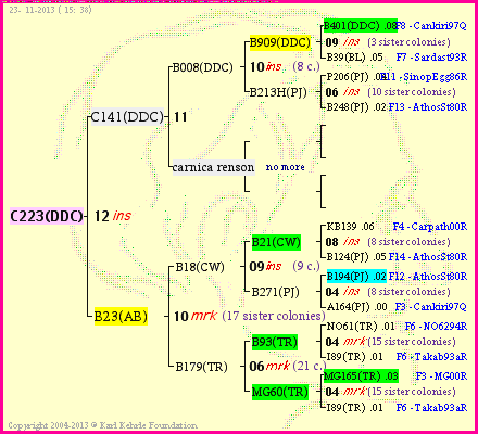 Pedigree of C223(DDC) :
four generations presented