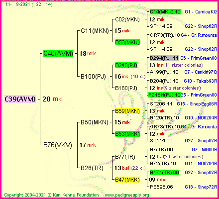 Pedigree of C39(AVM) :
four generations presented
it's temporarily unavailable, sorry!