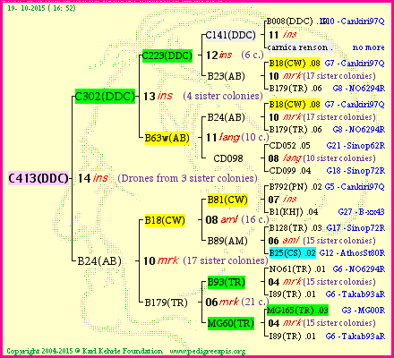 Pedigree of C413(DDC) :
four generations presented