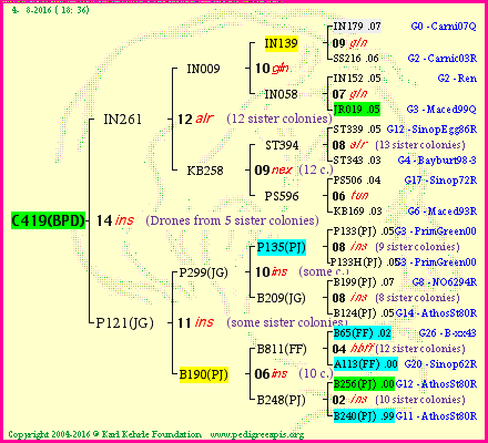 Pedigree of C419(BPD) :
four generations presented