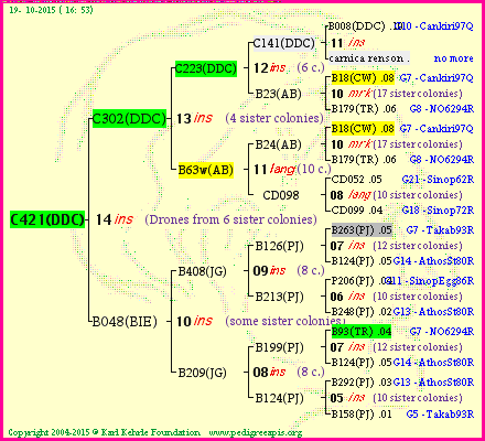 Pedigree of C421(DDC) :
four generations presented