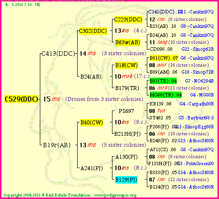 Pedigree of C529(DDC) :
four generations presented