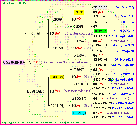 Pedigree of C530(BPD) :
four generations presented<br />it's temporarily unavailable, sorry!