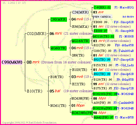 Pedigree of C99(MKW) :
four generations presented