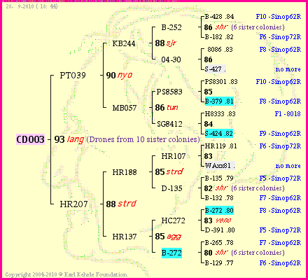 Pedigree of CD003 :
four generations presented