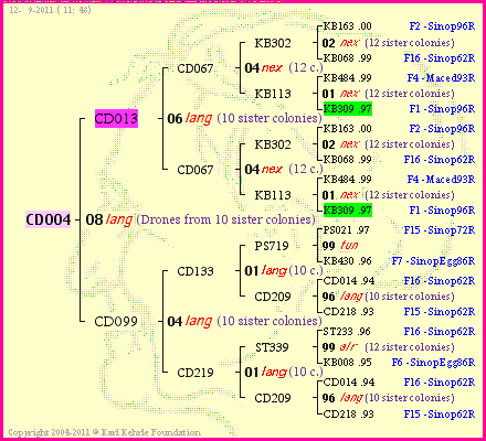 Pedigree of CD004 :
four generations presented