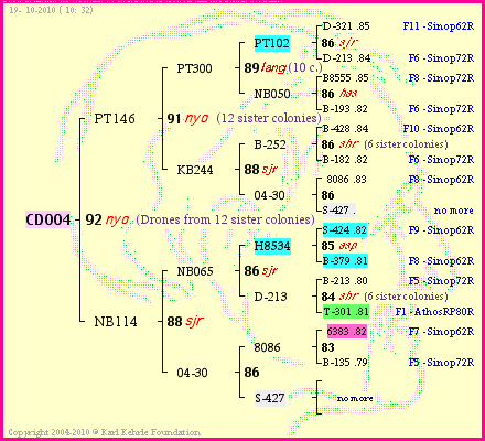 Pedigree of CD004 :
four generations presented
it's temporarily unavailable, sorry!