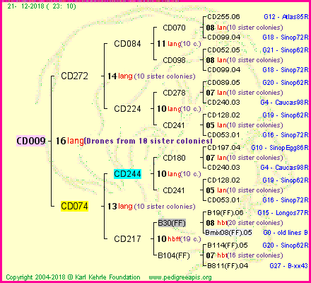 Pedigree of CD009 :
four generations presented
it's temporarily unavailable, sorry!