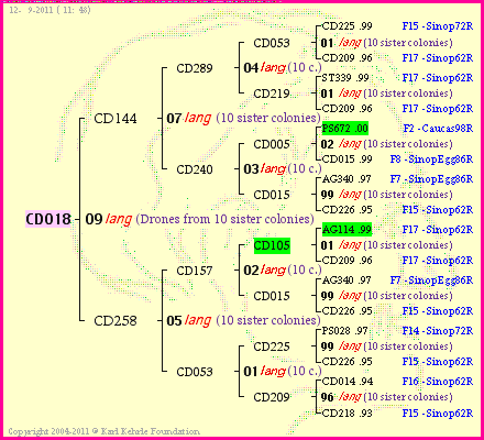 Pedigree of CD018 :
four generations presented