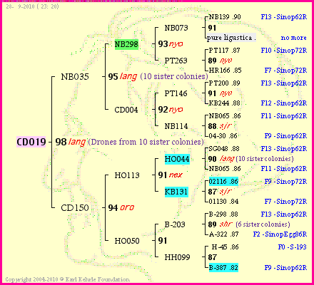 Pedigree of CD019 :
four generations presented