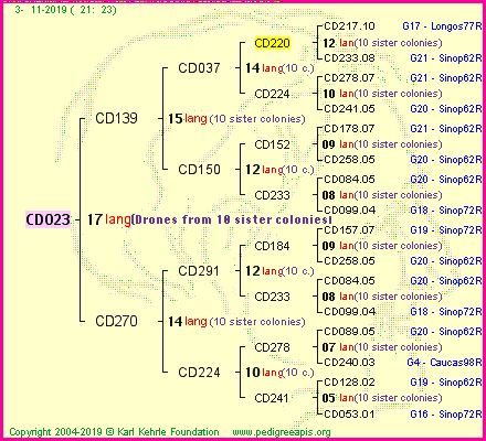 Pedigree of CD023 :
four generations presented
it's temporarily unavailable, sorry!