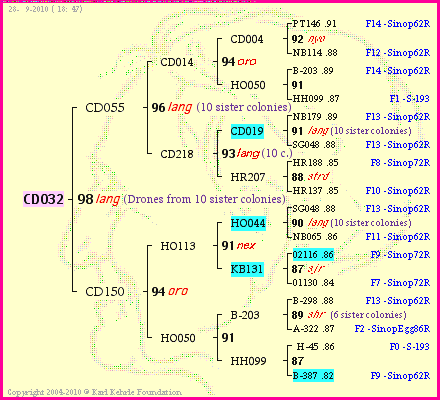 Pedigree of CD032 :
four generations presented