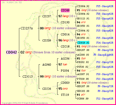 Pedigree of CD042 :
four generations presented