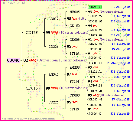 Pedigree of CD046 :
four generations presented