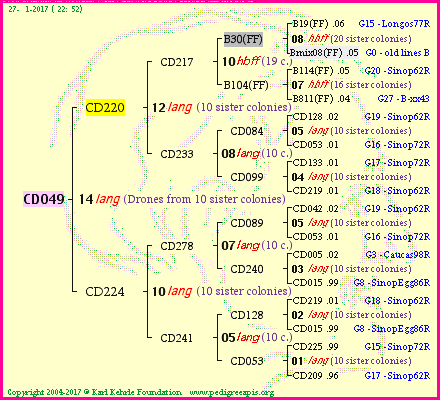 Pedigree of CD049 :
four generations presented