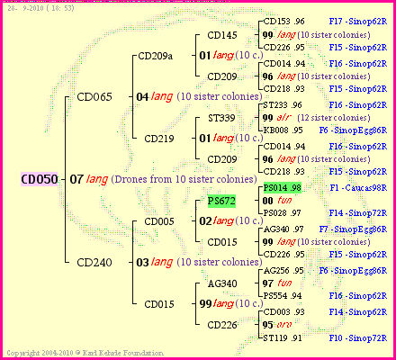 Pedigree of CD050 :
four generations presented