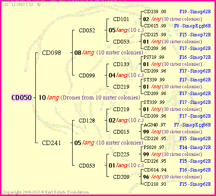 Pedigree of CD050 :
four generations presented