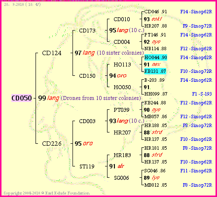 Pedigree of CD050 :
four generations presented