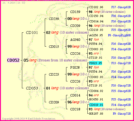 Pedigree of CD052 :
four generations presented