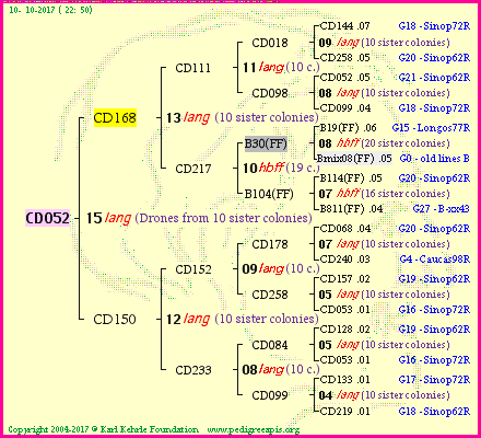 Pedigree of CD052 :
four generations presented