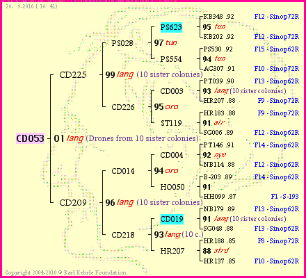 Pedigree of CD053 :
four generations presented
it's temporarily unavailable, sorry!