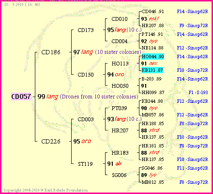 Pedigree of CD057 :
four generations presented