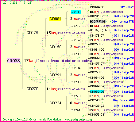 Pedigree of CD058 :
four generations presented
it's temporarily unavailable, sorry!