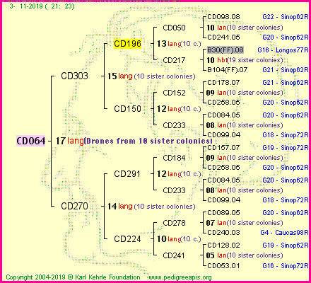 Pedigree of CD064 :
four generations presented<br />it's temporarily unavailable, sorry!