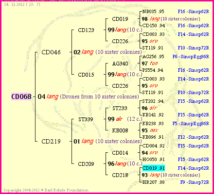 Pedigree of CD068 :
four generations presented