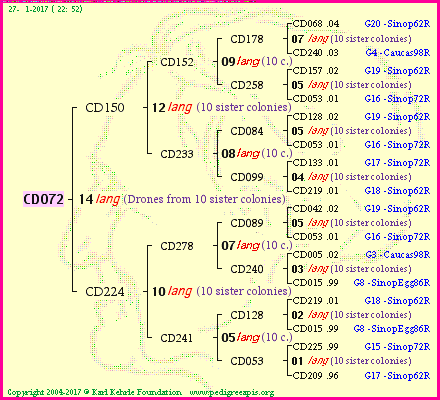 Pedigree of CD072 :
four generations presented