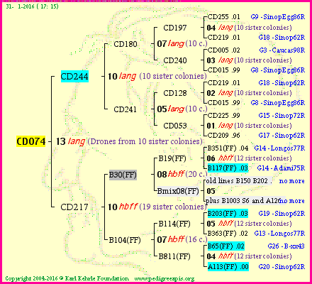 Pedigree of CD074 :
four generations presented
it's temporarily unavailable, sorry!