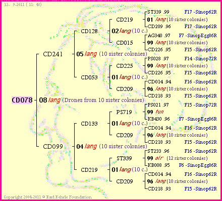 Pedigree of CD078 :
four generations presented