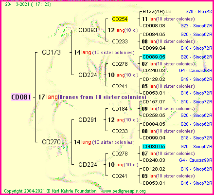 Pedigree of CD081 :
four generations presented
it's temporarily unavailable, sorry!