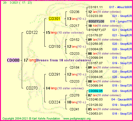 Pedigree of CD088 :
four generations presented
it's temporarily unavailable, sorry!