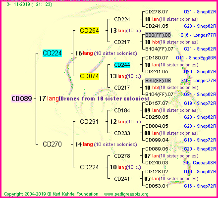 Pedigree of CD089 :
four generations presented
it's temporarily unavailable, sorry!