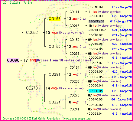 Pedigree of CD090 :
four generations presented
it's temporarily unavailable, sorry!